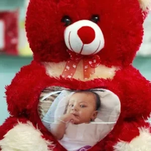 teddybear